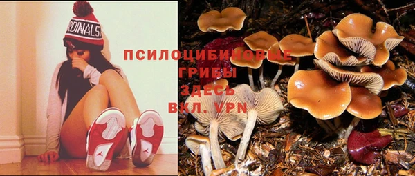 кокаин колумбия Баксан