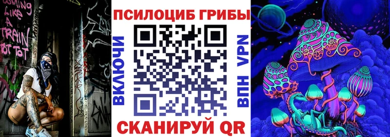 купить закладку  Будённовск  Галлюциногенные грибы Psilocybe 